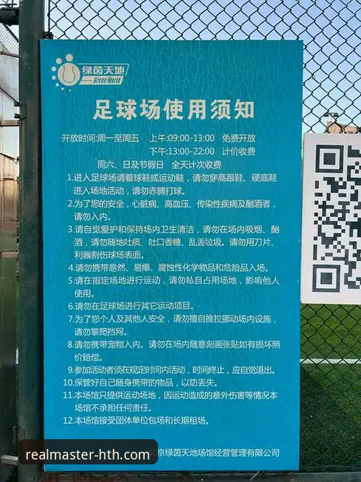 揭秘华体会体育官网：一个资深用户亲授的下载与畅玩全攻略